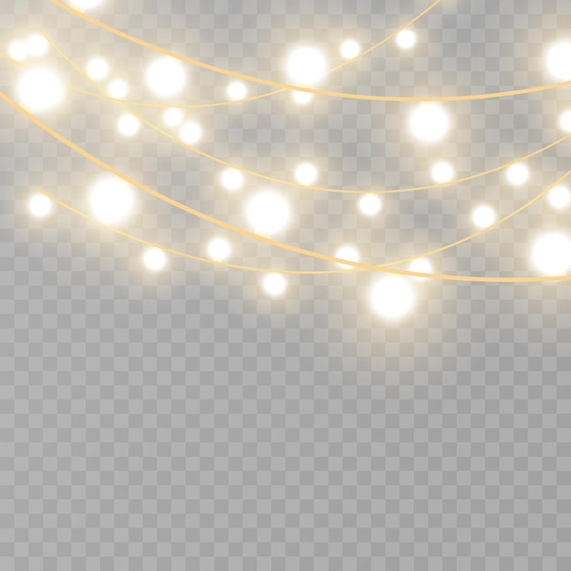 Christmas lights isolated on transparent background Vector illustration