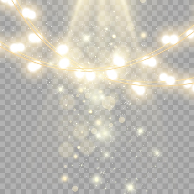 Christmas lights isolated on transparent background. Vector illustration.