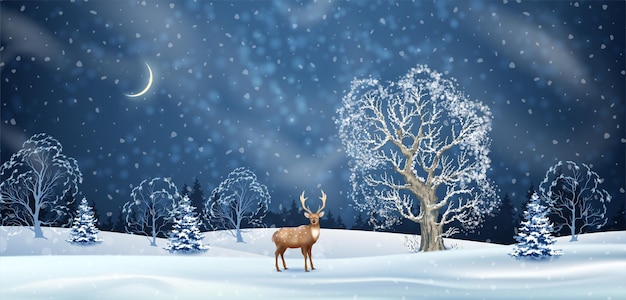 Christmas night winter background