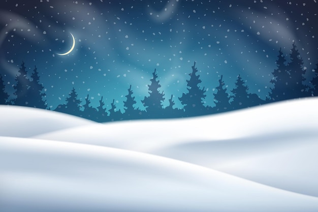 Christmas night winter background