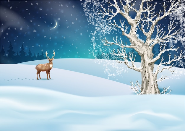 Christmas night winter landscape