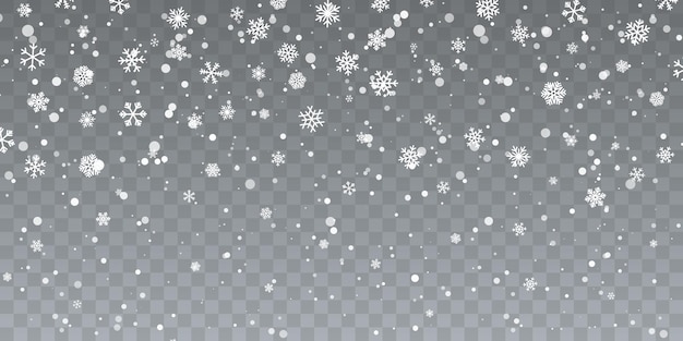 Christmas snow. Falling snowflakes on transparent background. Snowfall. Vector illustration.