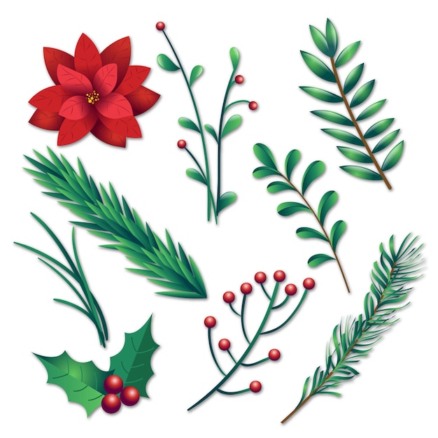 christmas tree branches elements vector illustration