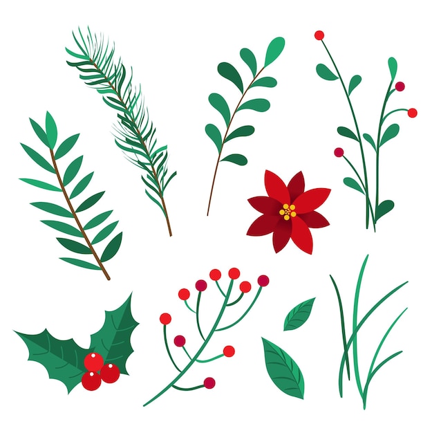 christmas tree branches elements vector illustration