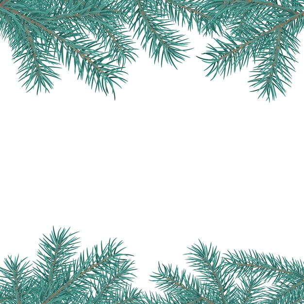 Christmas tree branches frame