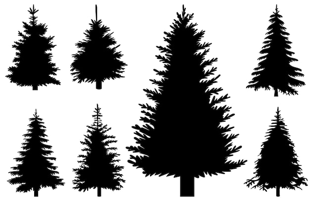 Christmas tree spruce black silhouette set isolated vector