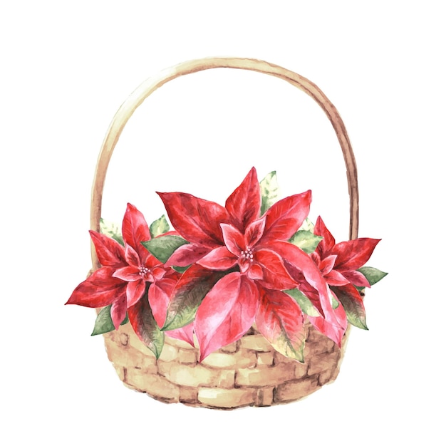 Christmas watercolor basket with red poinsettia