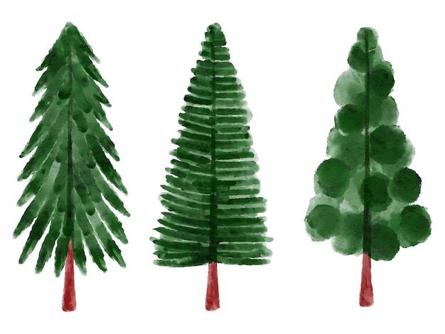 Christmas Watercolor Pine Tree Illustration