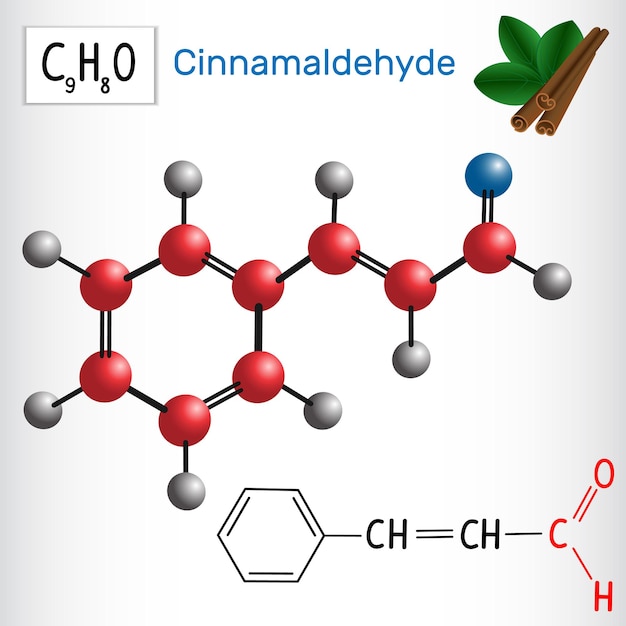 Cinnamaldehyde cinnamic aldehyde Aldehydes in nature Vector illustration