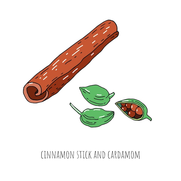 Cinnamon stick and cardamom spice set isolated on white background