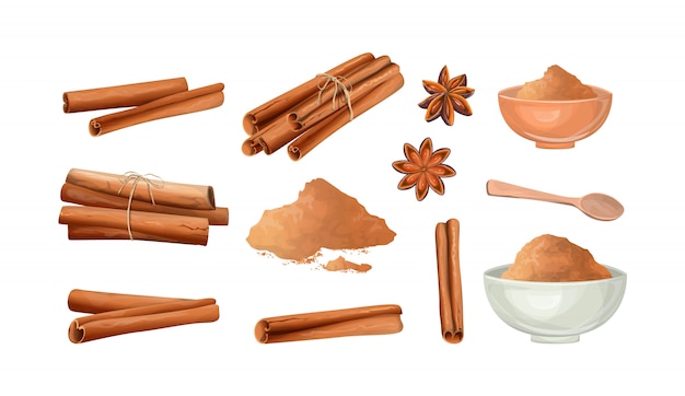 Cinnamon stick and powder set. Natural spicy ingredient for food.   illustration