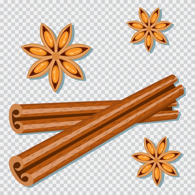 Cinnamon sticks and anise star cartoon spice set isolated 