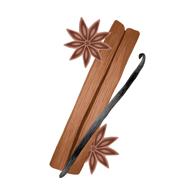 Cinnamon with anise star and vanilla stick, vector art