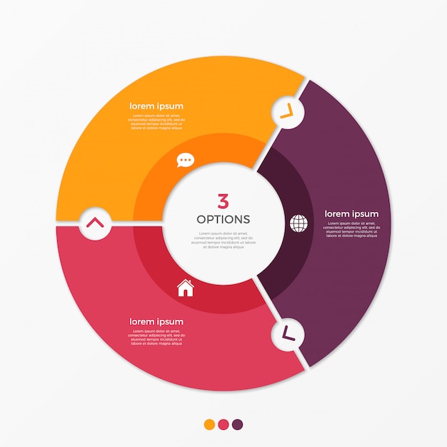 Circle chart infographic template with  options.