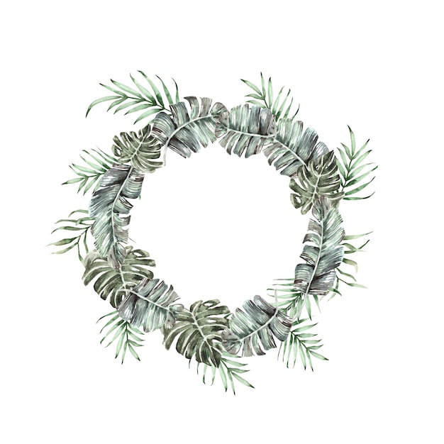 Circle frame vector illustration tropical leaves