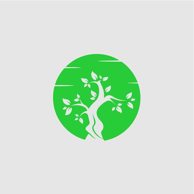 Circle tree logo icon template design Abstract round garden plant natural line symbol