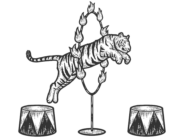 Circus tiger jumping through a ring of fire Sketch scratch board imitation