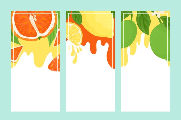 Citrus banner set vector illustration poster with bright tropical fruits vitamin dessert deliciously