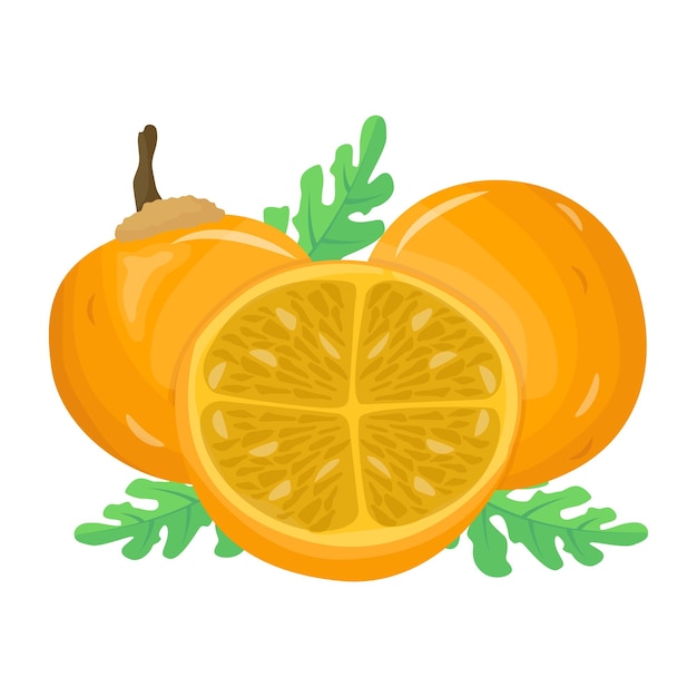 Citrus fruit an isometric icon of mandarin