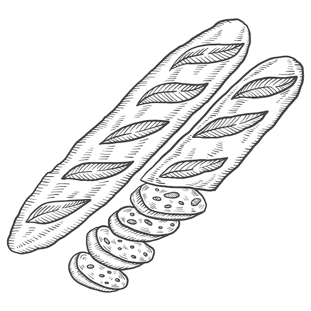 Classic baguette france food cuisine isolated doodle hand drawn sketch with outline style