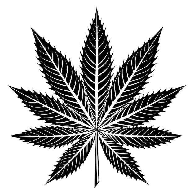 Classic Marijuana Leaf Silhouette vector