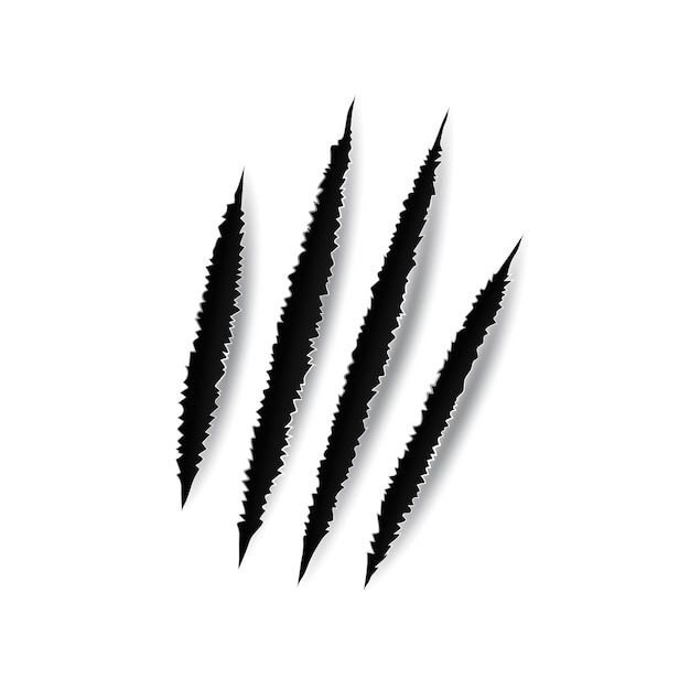 Claw scratch isolated wild animal nails trace track signs Vector rip tiger bear or cat paw sherds Realistic 3d marks on paper texture lion monster or beast break four claws scratch trace