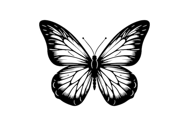 Vector a clean black outline of a butterfly