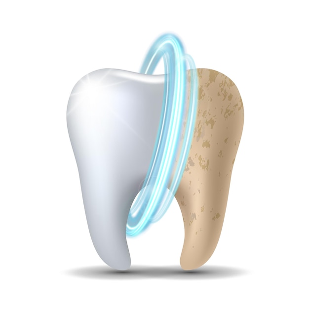 Clean and dirty tooth before and after whitening