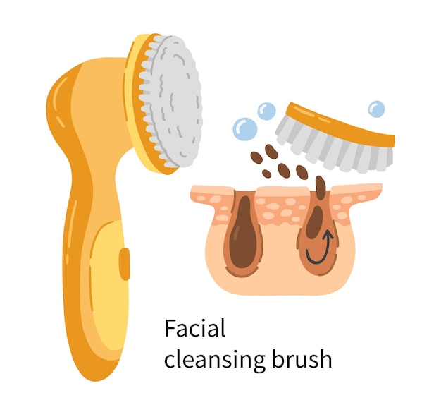 Cleansing facial brush vector illustration with layers of dermis and pores