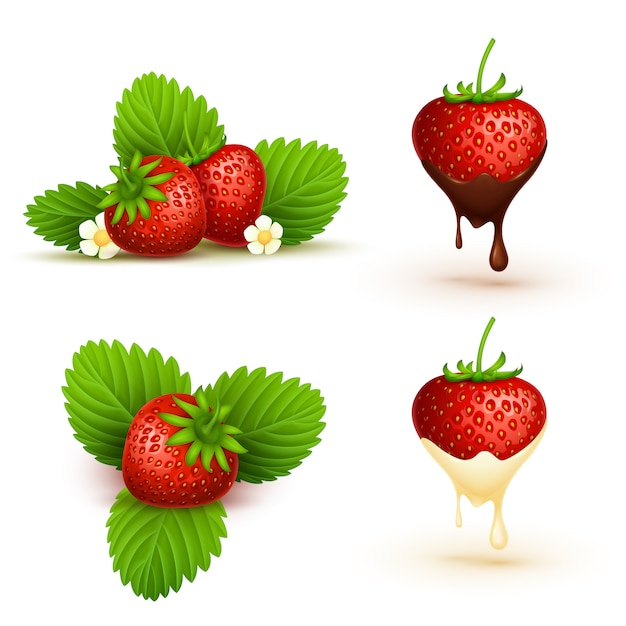 Close up red ripe strawberry with leaves illustration. Ripe fruit red berry 