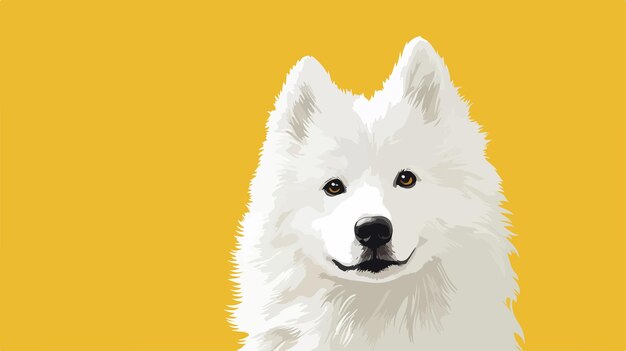 Vector closeup fluffy white samoyed dog on yellow background