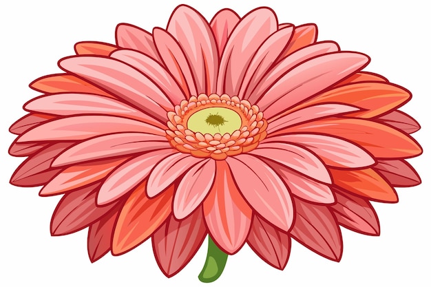 Vector a closeup of a pink and orange gerbera daisy