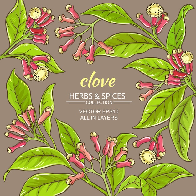 Clove vector frame