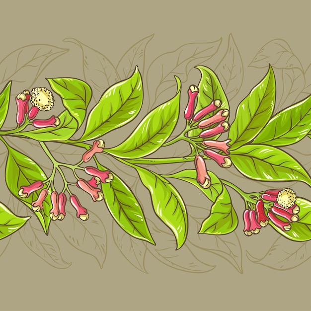 Clove vector pattern