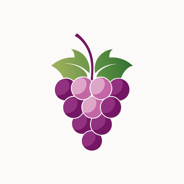 Cluster of grapes displayed on a plain white surface Develop a sleek logo for a specialty wine store using only a minimalist grape bunch