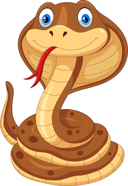 Cobra snake cartoon isolated on white