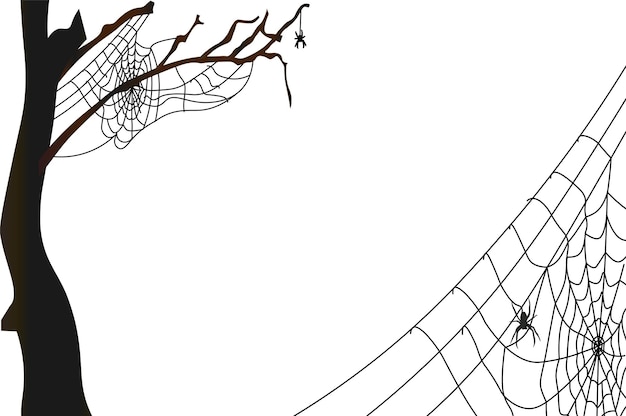 Vector cobweb background for cobweb line art halloween design