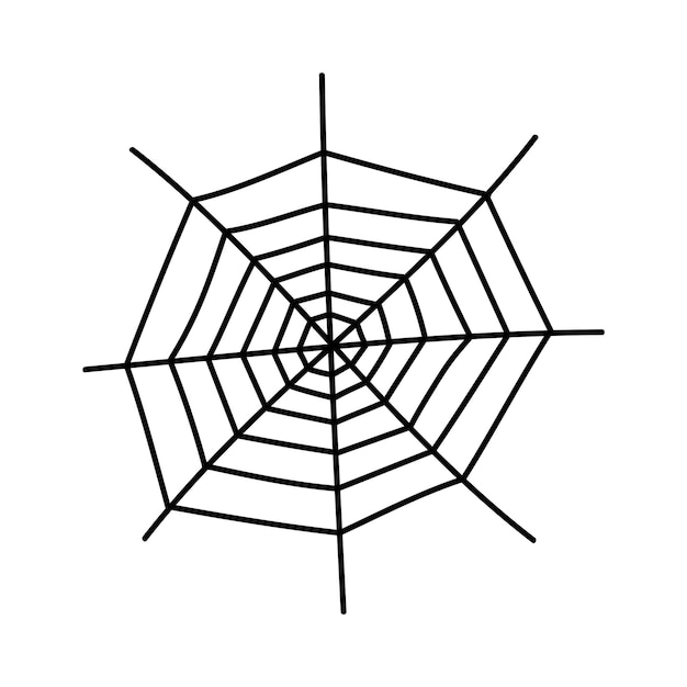 Cobweb in doodle style