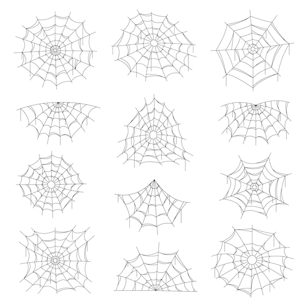 Cobweb and spider web Halloween isolated net.