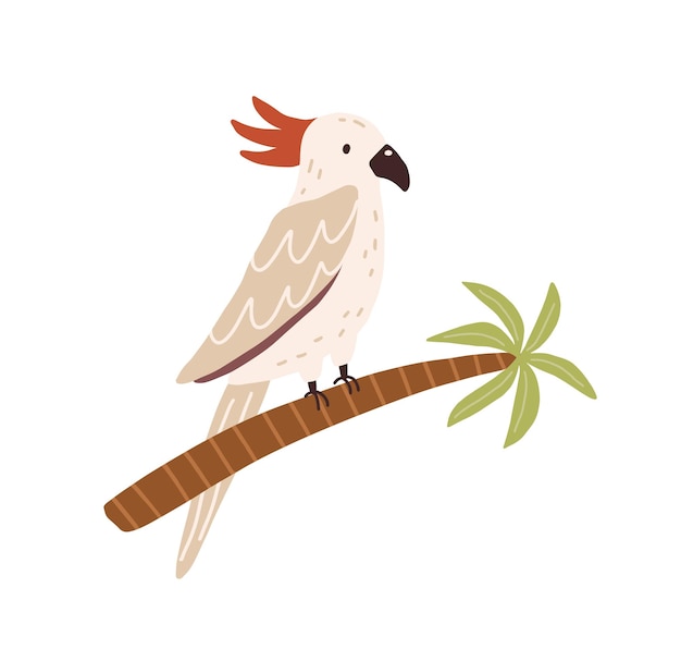 Cockatoo bird sitting on palm tree trunk. Tropical Australian parrot with red crest and long tail. Colored flat vector illustration isolated on white background.