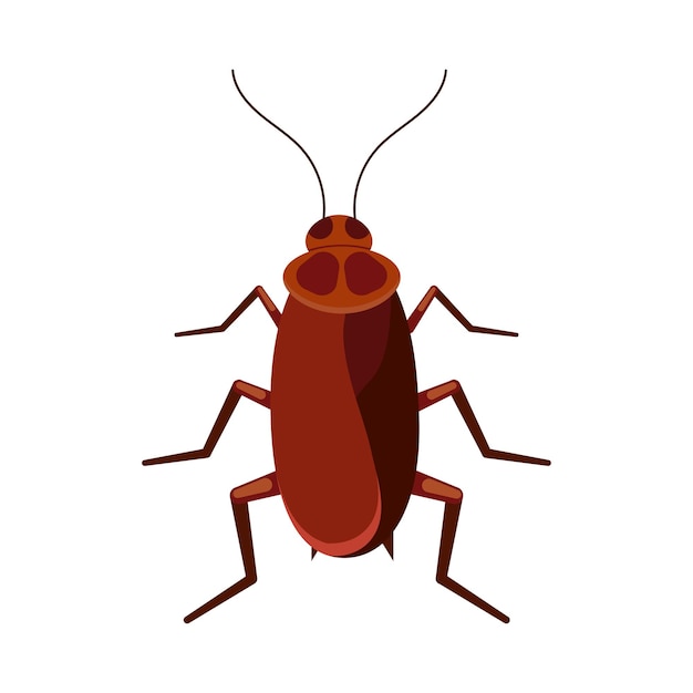 Cockroach vector icon isolated on white background. Brown roach bug logo symbol. Flat design cartoon style beetle illustration.