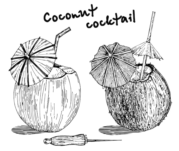 Cocktail of coconut sketch set of a coconut with a cocktail inside with straws and an umbrella Pina