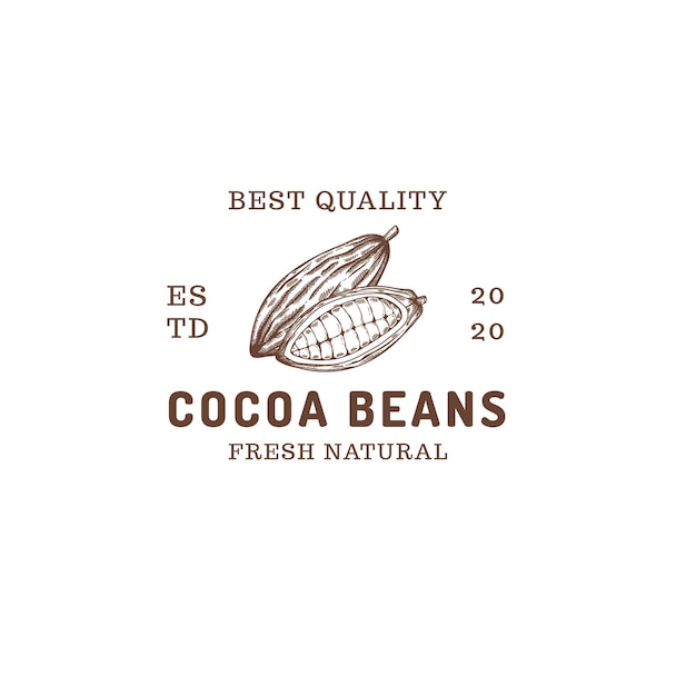 cocoa beans farm abstract logo