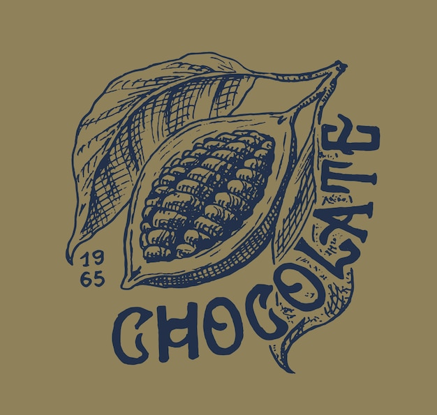 Cocoa fruit. Beans or Grains. Vintage badge or logo for t-shirts, typography, shop or signboards. Hand Drawn engraved sketch.