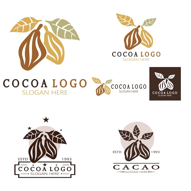 Cocoa logo cocoa bean cocoa tree cocoa branches and leaves chocolate vintage template design vector