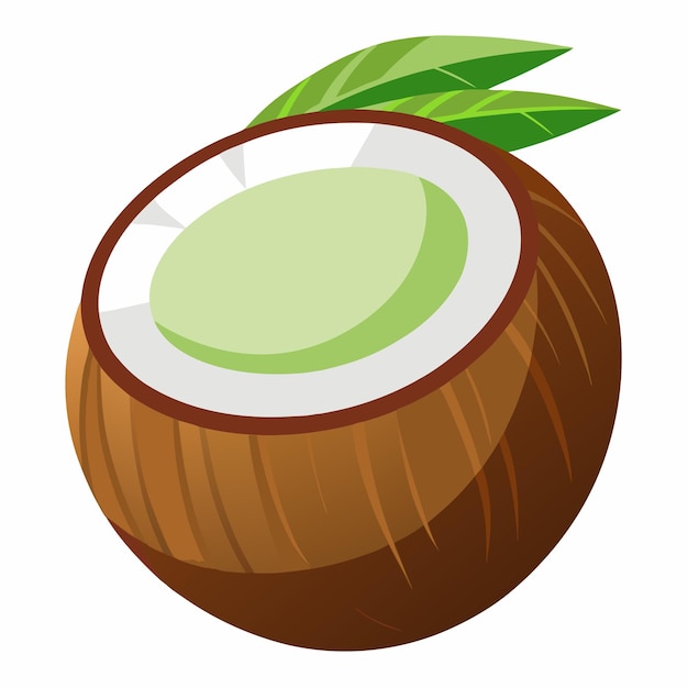 Coconut design