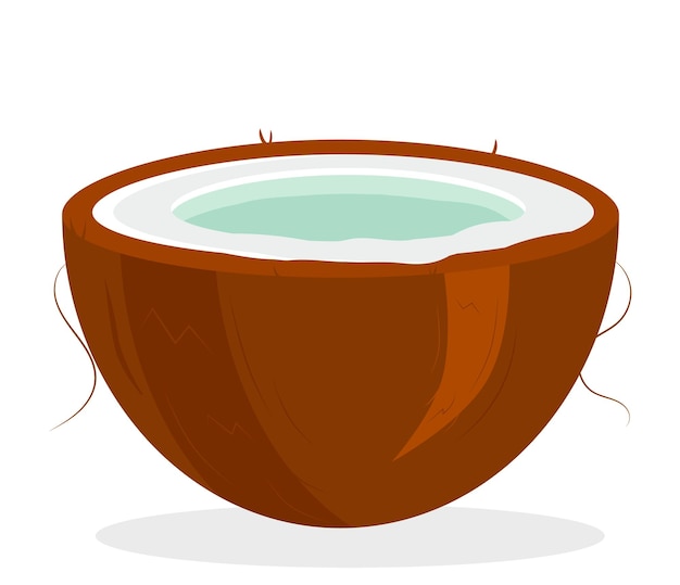 Coconut Drink half a coconut Flat vector illustration isolated on white background