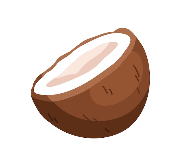 Coconut half. Cut coco nut fruit. Open tropical food with flesh and hard brown shell. Exotic eating, natural nutrition. Flat vector illustration isolated on white background.