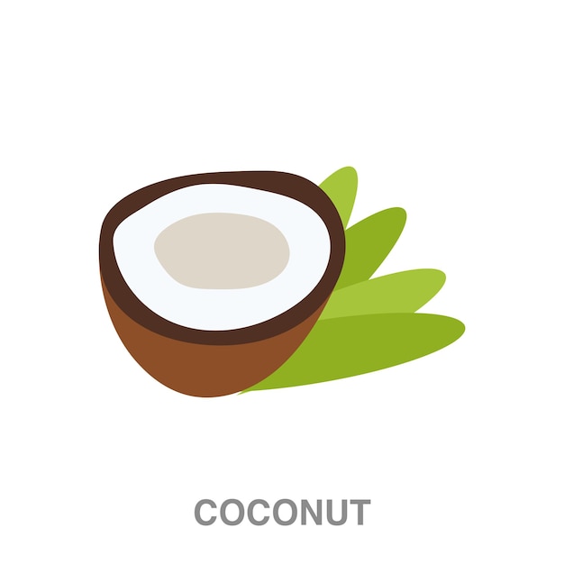 Coconut illustration on transparent background