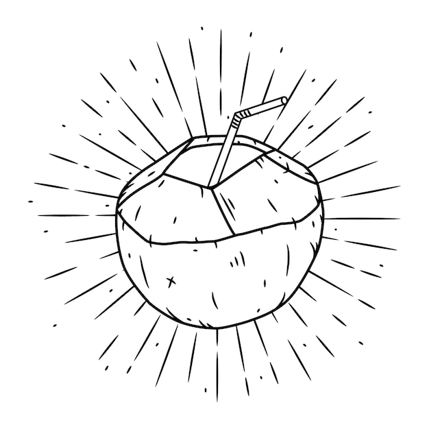 Coconut.  illustration with coconut.